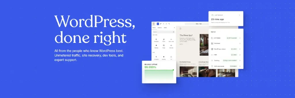 Wordpress Wordpress