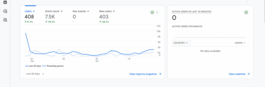 Google Analytics Report